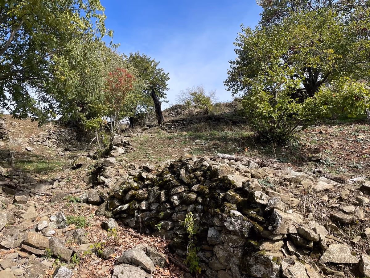 Moss-covered stone wall mound on a rocky slope under trees