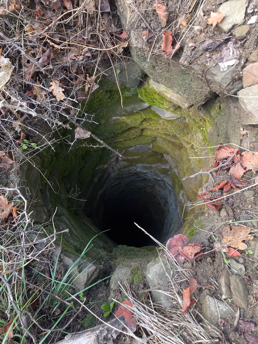 Old stone-lined well covered in moss, seen from above