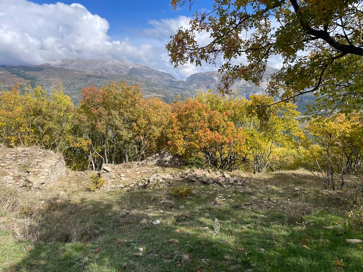 Low stone wall remains in a meadow, with autumn-coloured trees and mountains behind