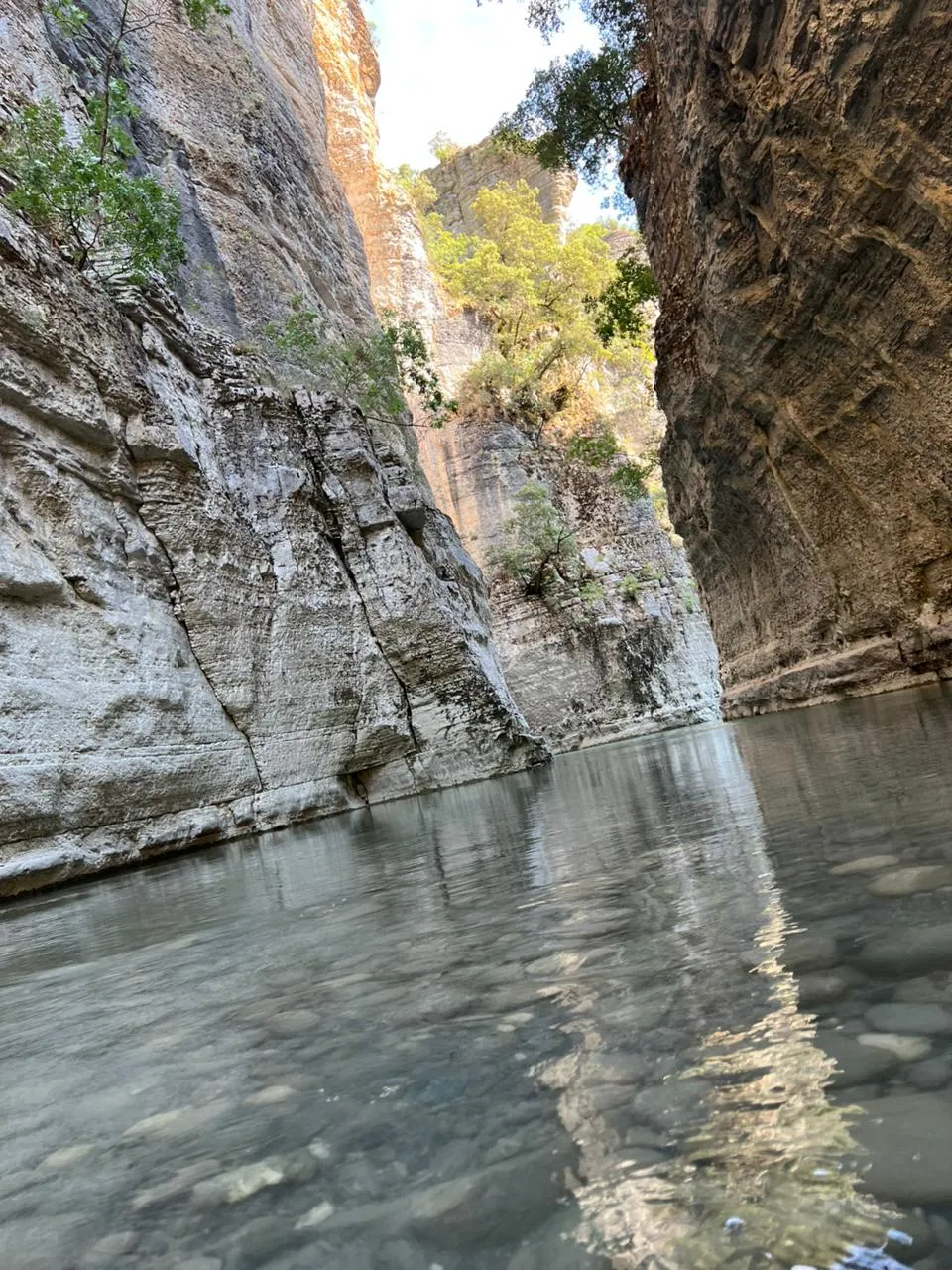 Untouched nature and river currents in Osum Canyon